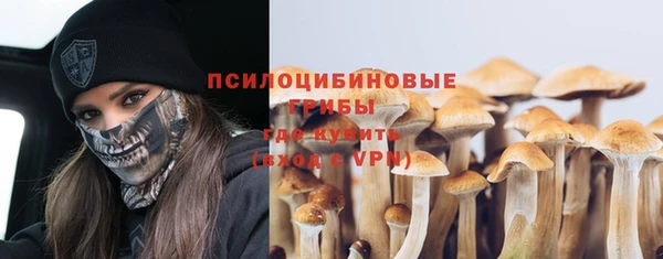 ПСИЛОЦИБИНОВЫЕ ГРИБЫ Бородино