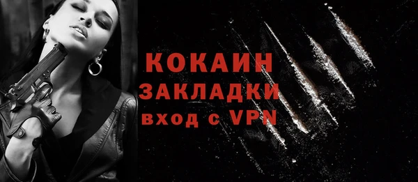 ПСИЛОЦИБИНОВЫЕ ГРИБЫ Бородино