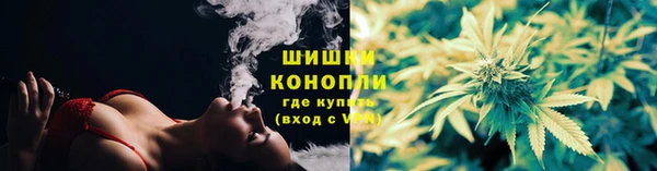 ПСИЛОЦИБИНОВЫЕ ГРИБЫ Бородино