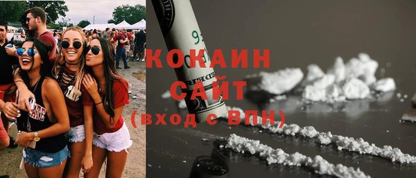 ПСИЛОЦИБИНОВЫЕ ГРИБЫ Бородино