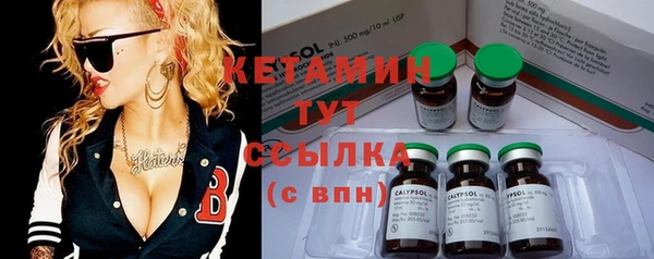 ПСИЛОЦИБИНОВЫЕ ГРИБЫ Бородино